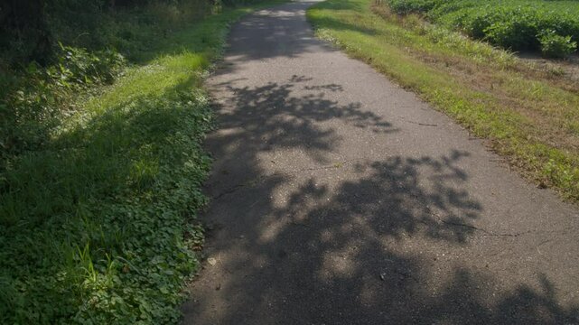 Brian Vrown greenway, path through UT Martin
