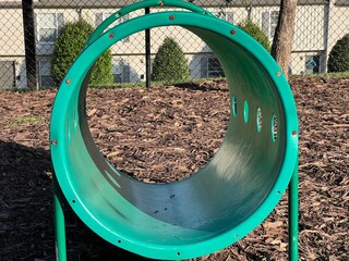 Green dog park agility crawl tunnel with a shallow depth of field