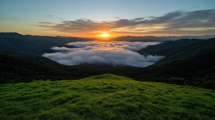A beautiful sunrise casts its light over lush green hills and a valley blanketed in soft, white fog, creating a peaceful and serene scene.
