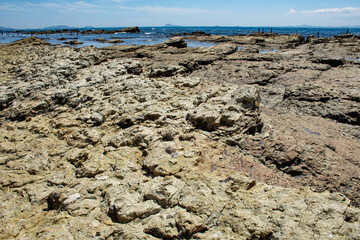 海岸の磯の岩肌