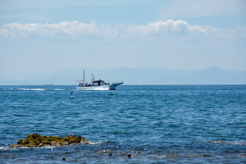 伊勢湾の海を走る釣り船