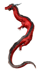 Obraz premium 3D Rendering Eastern Dragon on White