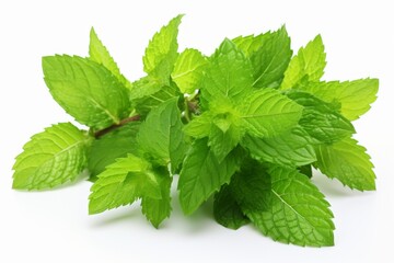 Close up of isolated mojito drink with lime and straw on white background, refreshing cocktail