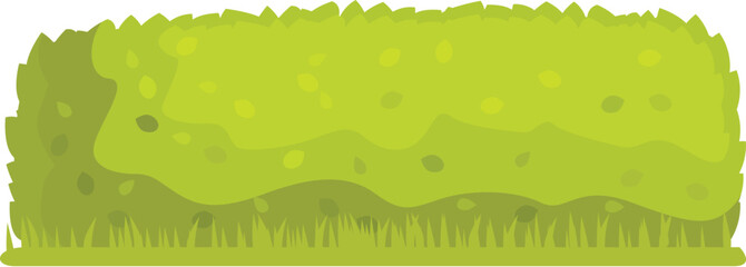 Green bush growing in summer representing nature and ecology, perfect for environmental projects