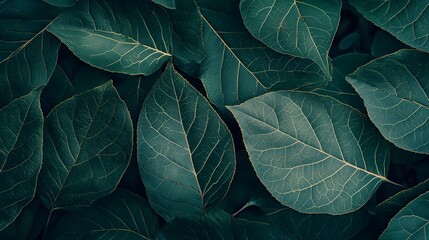 Detailed textures of green leaves with intricate veins and natural patterns perfect for organic visuals