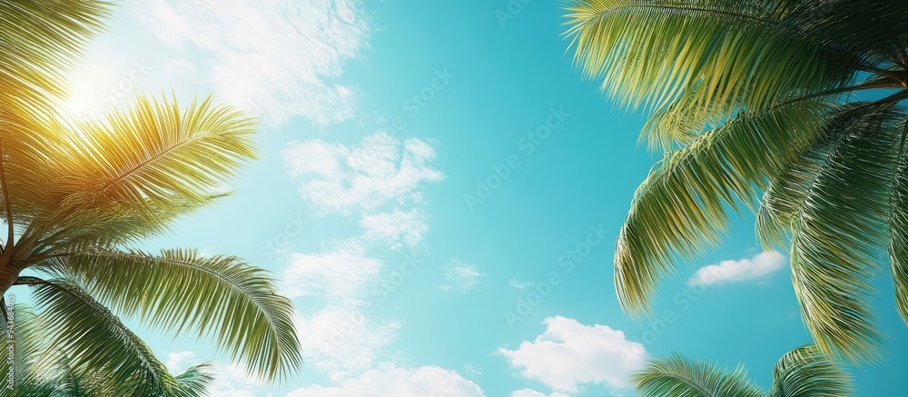 Poster Palm trees set against a blue sky with clouds A tropical summer travel frame background featuring copyspace