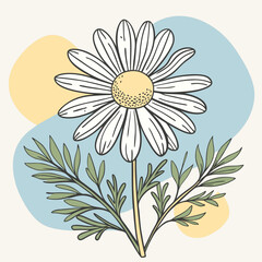 Minimalist German Chamomile Plant Vector Art