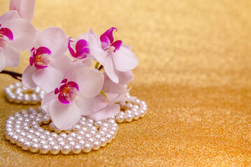 A branch of white orchids on a shiny gold background
