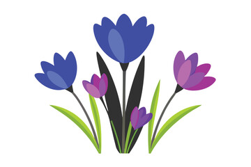 Delicate Spring Flowers Illustration Featuring Crocuses and Hyacinths