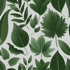 Seamless pattern with various natural and fresh leaves on white background