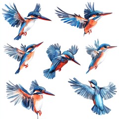 Naklejka premium A collection of colorful kingfisher illustrations in various flying poses.