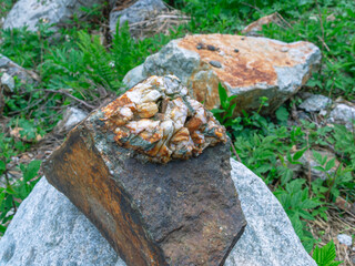 A mineral found in the mountains. The rock consists of crystalline growths on a hard stone. Nature in a mountainous area. Hard rock rocks.
