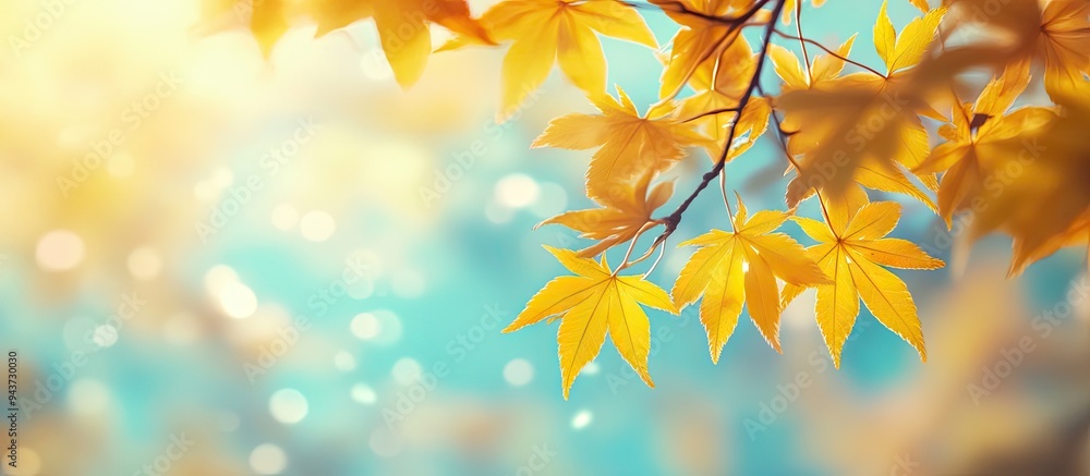 Leinwandbilder autumn yellow japanese maple leaves against a blurred sky creating a nature background with bokeh. w