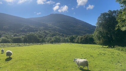 Fototapeta premium Ireland