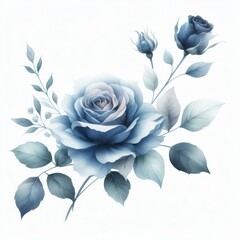 Elegant watercolor blue rose
