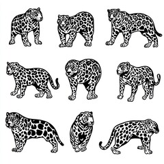 A grid of stylized illustrations of leopards in various poses.