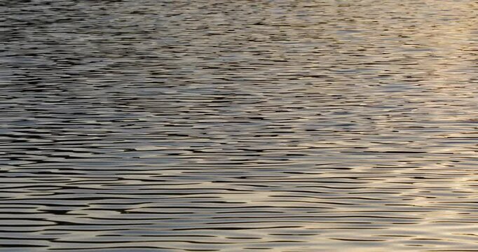 Golden Hour Ripples: Serene Water Surface Reflections