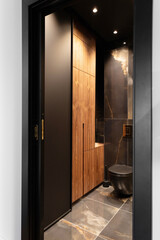 modern toilet  in gold and black colors