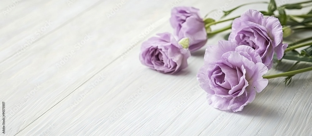 Aufkleber lovely eustoma flowers on a white wooden surface. with copy space image. place for adding text or de
