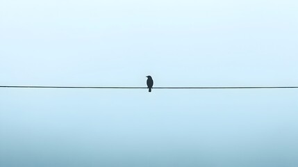 A single bird silhouetted against the sky perched solemnly on a power line in a serene minimalist landscape with ample negative space for copy