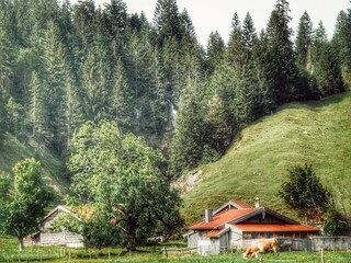 Naklejka premium Bergalm vor Wasserfall