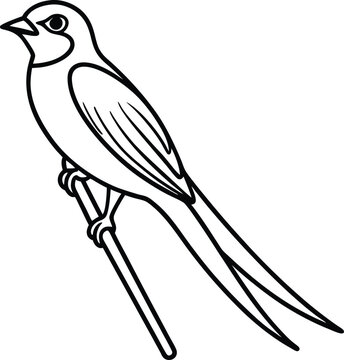 recommend clip art: Adorable swallow on a tree branch line art for kids to color and enjoy in their coloring book
                    
