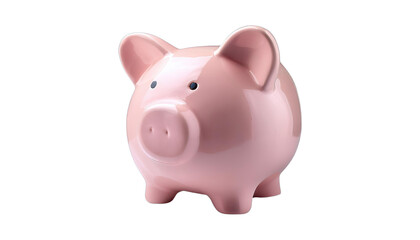 Pink Ceramic Piggy Bank for Saving Money and Financial Planning
