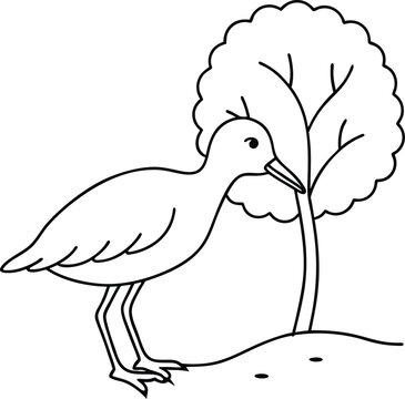 recommend clip art: Fun sandpiper bird under a tree pecking at the ground line art for kids coloring book
                    