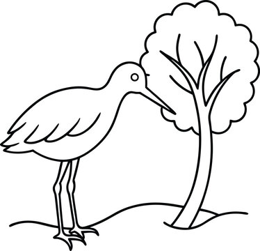 recommend clip art: Sandpiper bird pecking at the ground under a tree line art illustration perfect for kids coloring book
                    
