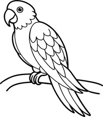 Adorable parrot on a branch line art illustration designed for children's coloring
