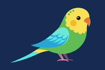  Beautiful budgerigar bird vector art illustration