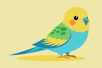  Beautiful budgerigar bird vector art illustration