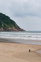 The Tombo beach of Guaruja, SP, Brazil. Landscape of the beach with no people.