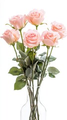 Fototapeta premium Beautiful bouquet of soft pink roses in a clear vase, perfect for decoration or gifts, radiating elegance and charm.