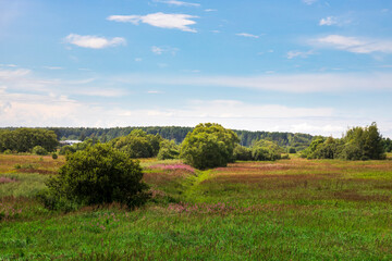 A serene meadow unfolds under a clear blue sky, with gentle hills in the distance and colorful wildflowers dotting the landscape.