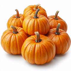 An isolated pumpkin patch on a white background, perfect for autumn and harvest-themed design projects