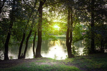 A serene scene of a lake with trees in the background
