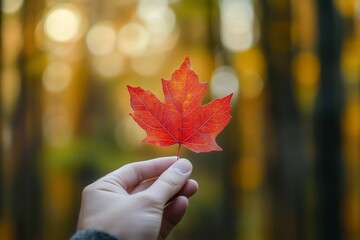 A person holds a vibrant red maple leaf against a blurred autumn forest backdrop in the late afternoon