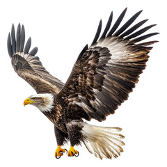 Obraz premium PNG Bald eagle soaring over scenery