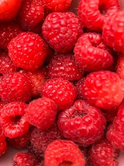 Freshly collected organic raspberies, red fruits