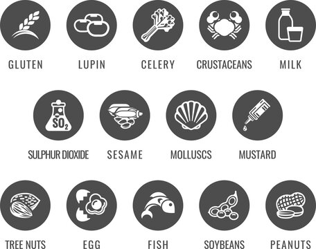 Allergen Food Major Allergy Icons