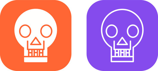 Skull X ray Vector Icon