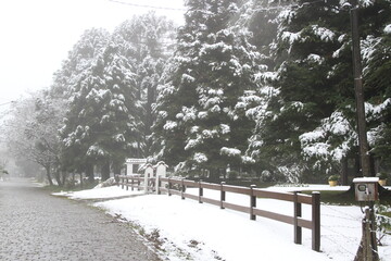 Paisagem na Serra Gaúcha com neve