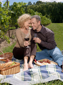 Couple Enjoying Picnic