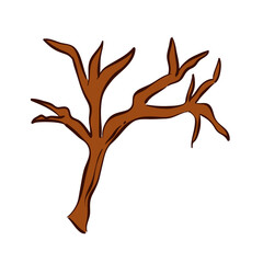 Halloween Boho Branch