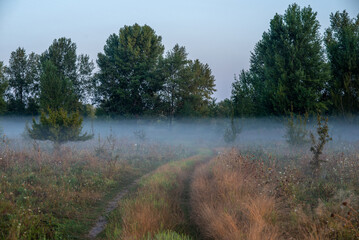 A soft summer morning mist drapes the fields near the city at the end of August, weaving through...