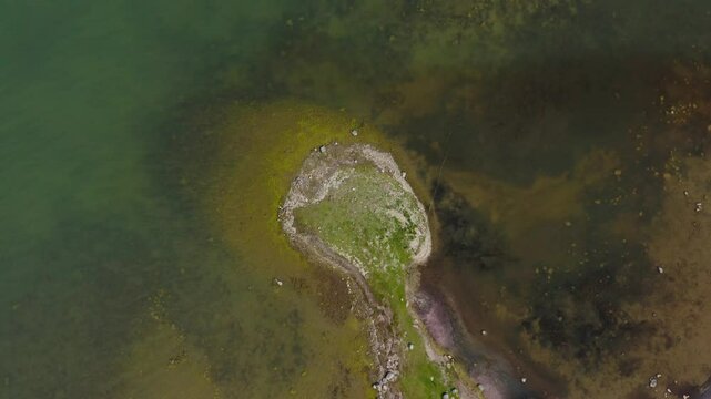 Top down drone shot of sea water near coastline. Rocks. Grass. Ecology. Pollution.