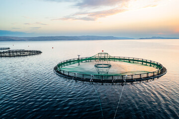 Fish farm at sunrise with circular nets in calm waters and distant mountains in the background. 