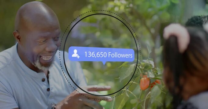 Picking vegetables in garden, child with 198,251 followers animation overlay