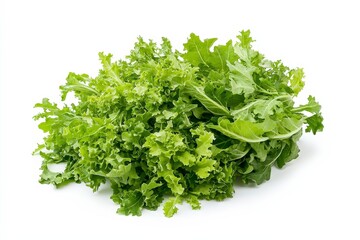 Fototapeta premium A bunch of fresh, curly green lettuce leaves arranged neatly.